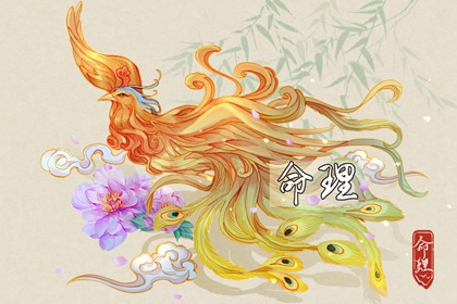 择吉老黄历皇历 择吉黄历每日宜忌 择吉黄历